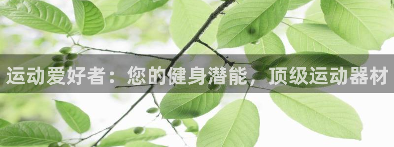 意昂3娱乐代理怎么样：运动爱好者：您的健身潜能，顶级