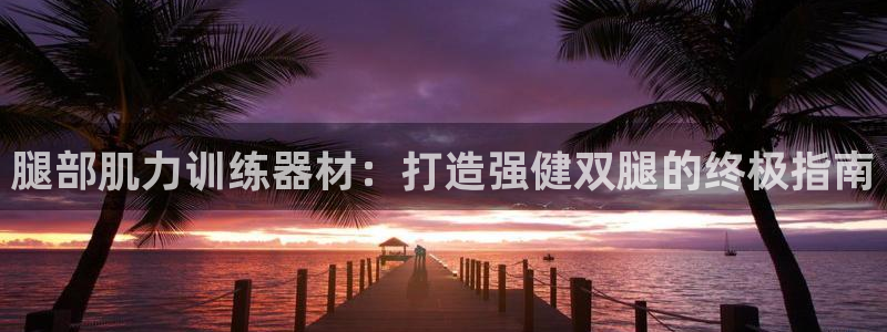 意昂3集团简介:腿部肌力训练器材:打造强健双腿的终极指南